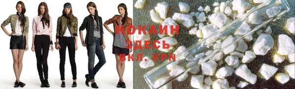 spice Белокуриха