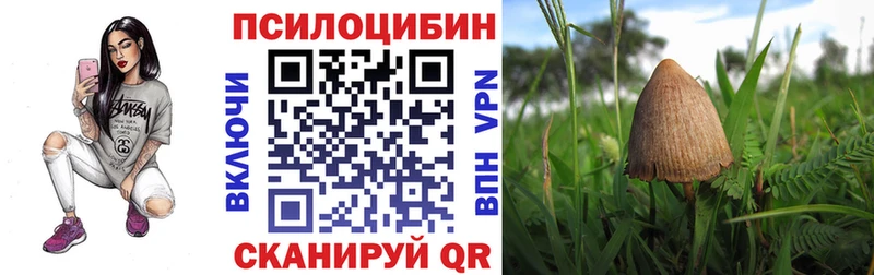где можно купить   Ачхой-Мартан  Галлюциногенные грибы MAGIC MUSHROOMS 